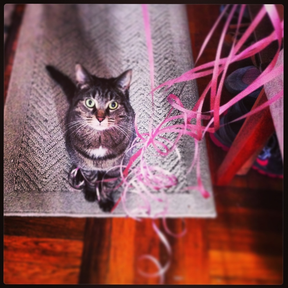 Meet your Posher, Gabrielle